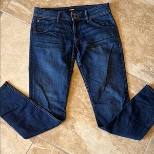 Hudson Jeans Blue Skinny Denim